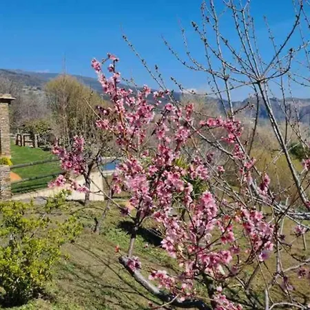 Cortijo Jimenez - Villa